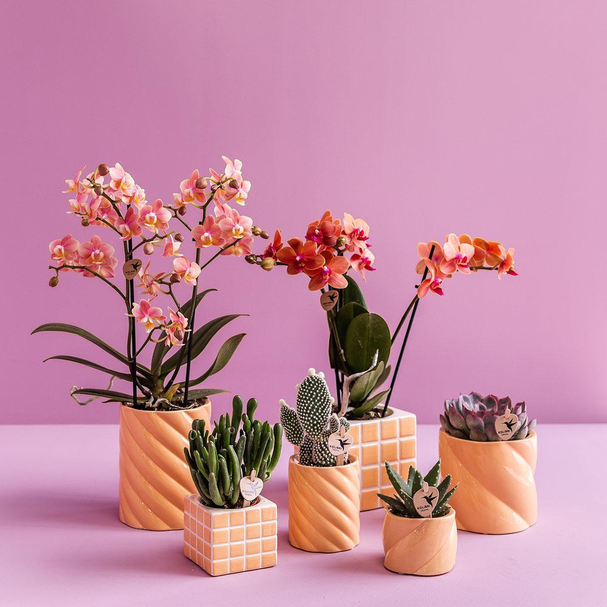 Kolibri Home | Candy Sierpot | Hoog - perzik - Ø9cm
