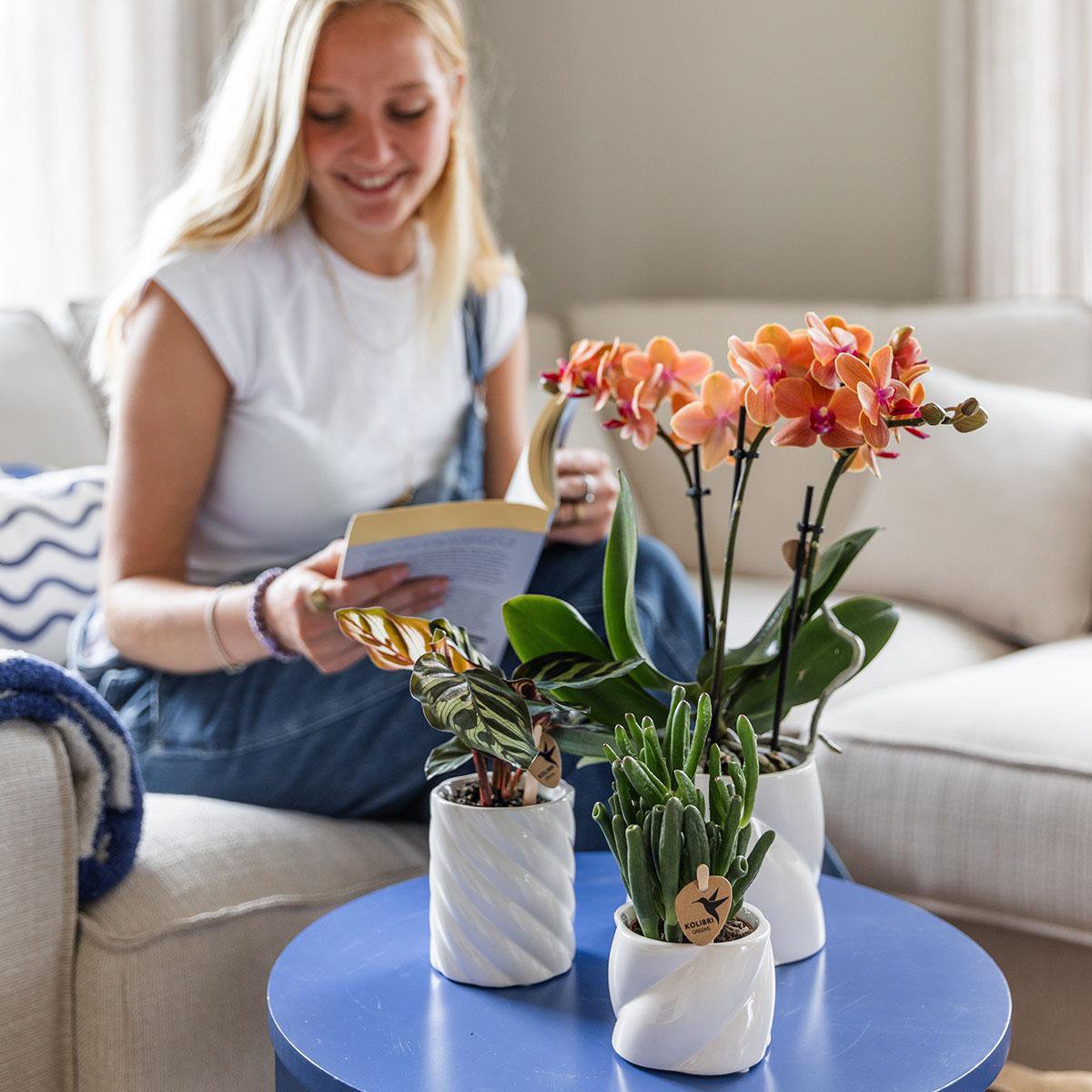 Kolibri Home | Candy sierpot - White - Ø9cm