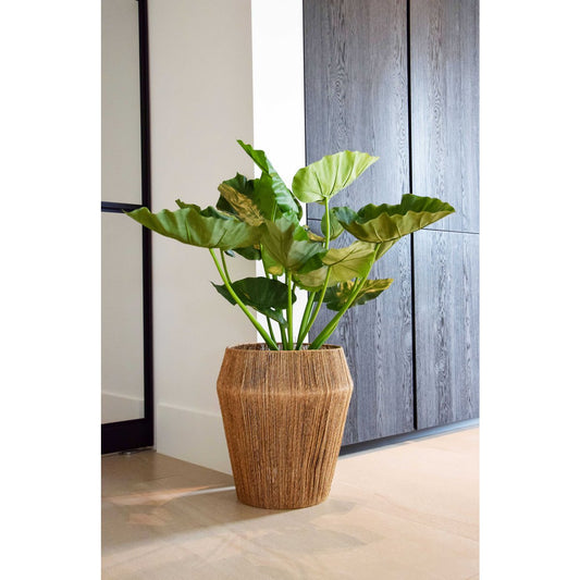Plantenbak - Hué Jute