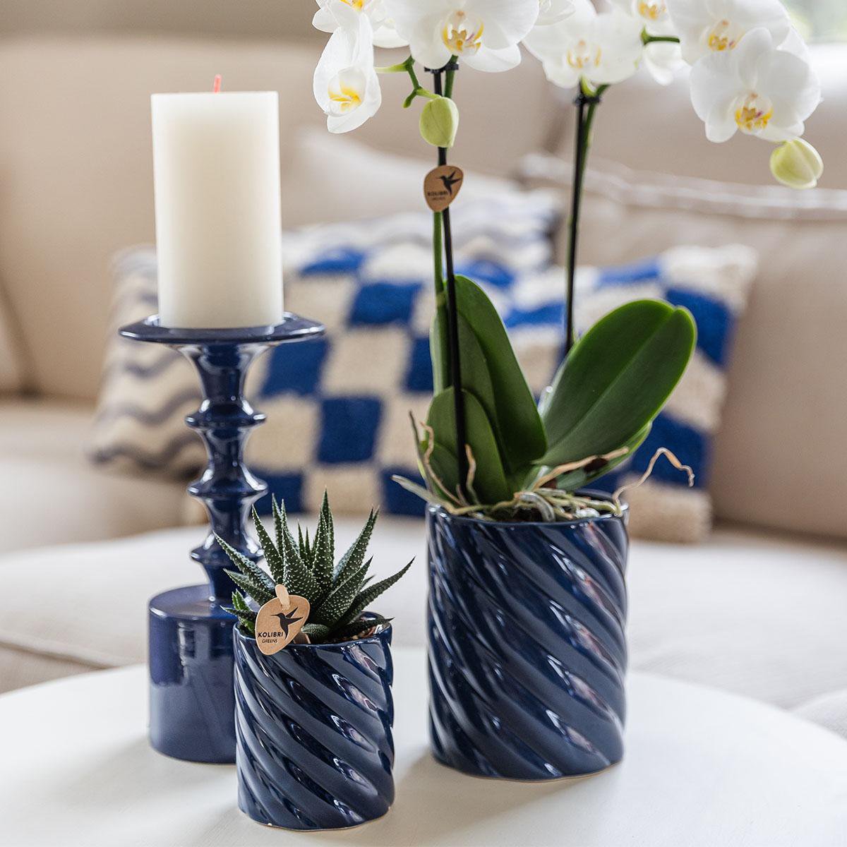 Kolibri Home | Candy sierpot | Hoog - Blue - Ø9cm