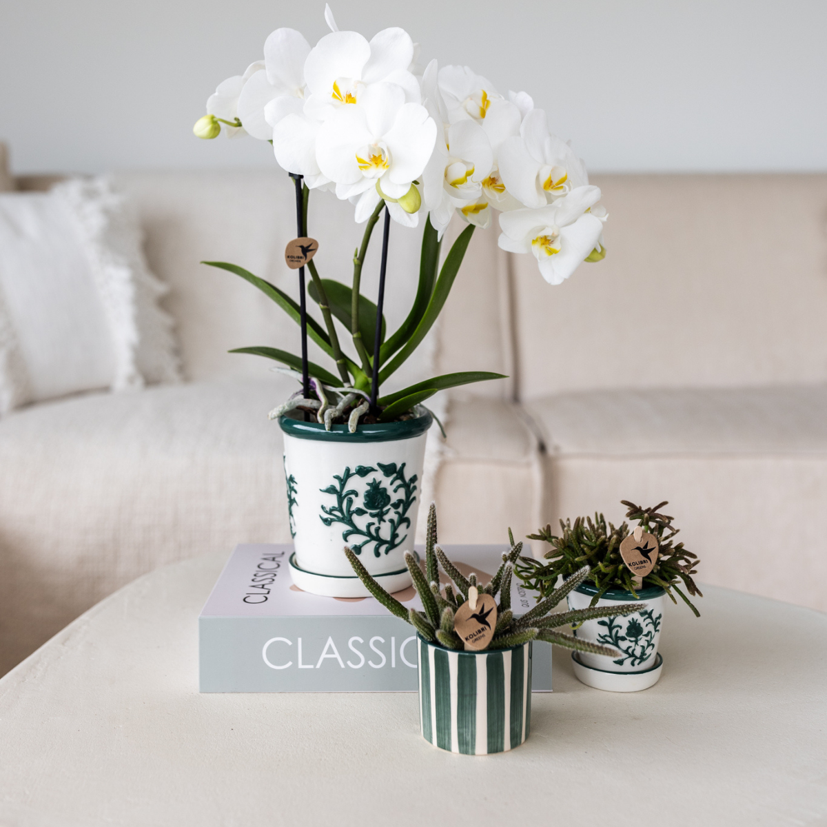 Kolibri Home I Malaga pot - Groen - Ø9cm