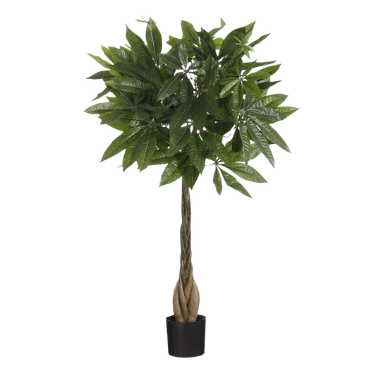 Pachira Kunstplant - H80 x Ø60 cm - Groen