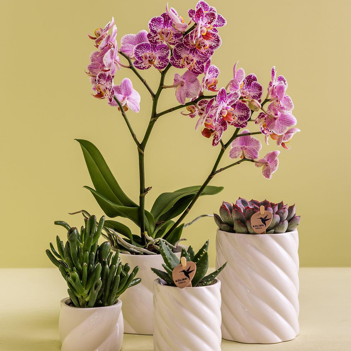 Kolibri Home | Candy sierpot - White - Ø9cm