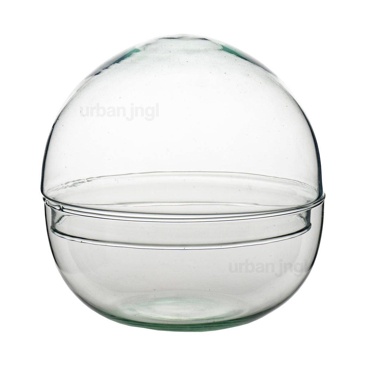 Dome XL - Bolglas - Stolp - Gesloten terrarium ↑30 cm