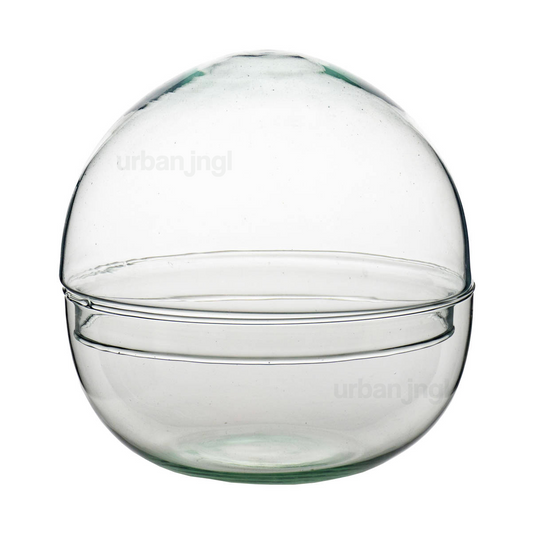 Dome XL - Bolglas - Stolp - Gesloten terrarium ↑30 cm