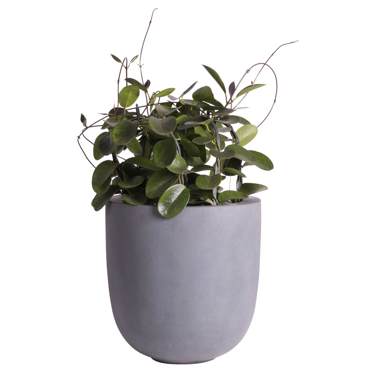 Plantenpot - Ducos big grey