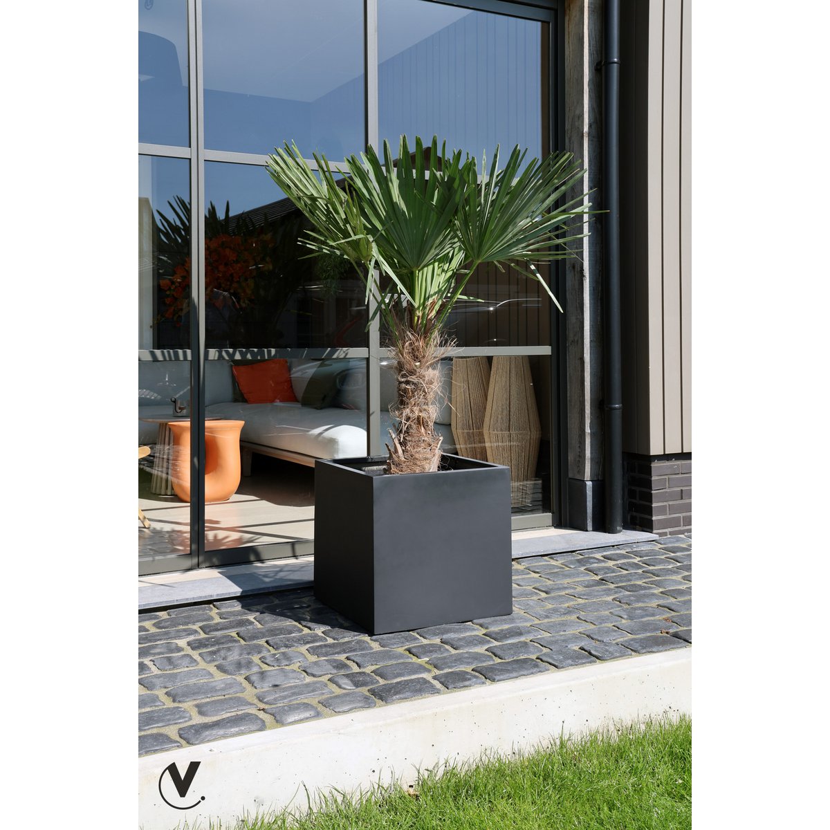 Plantenbak - El Salvador black
