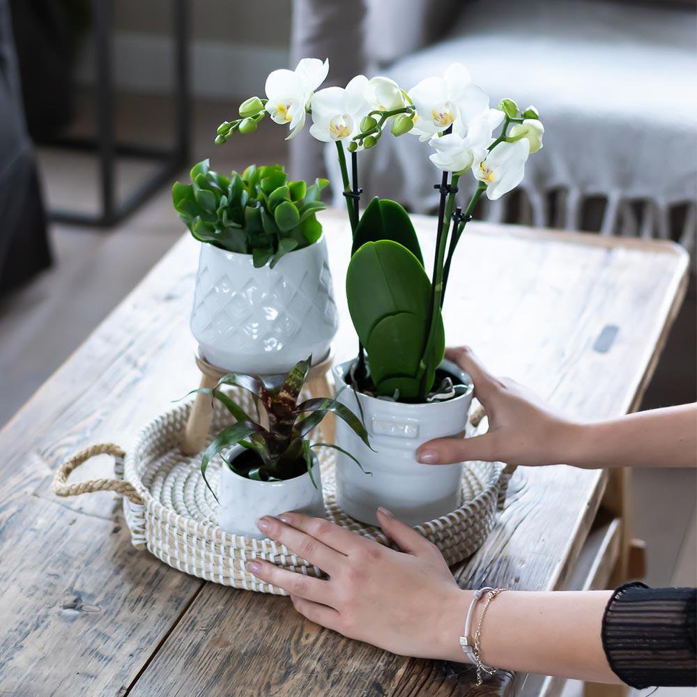 Kolibri Home | Jug bloempot - Witte keramieken sierpot Ø9cm