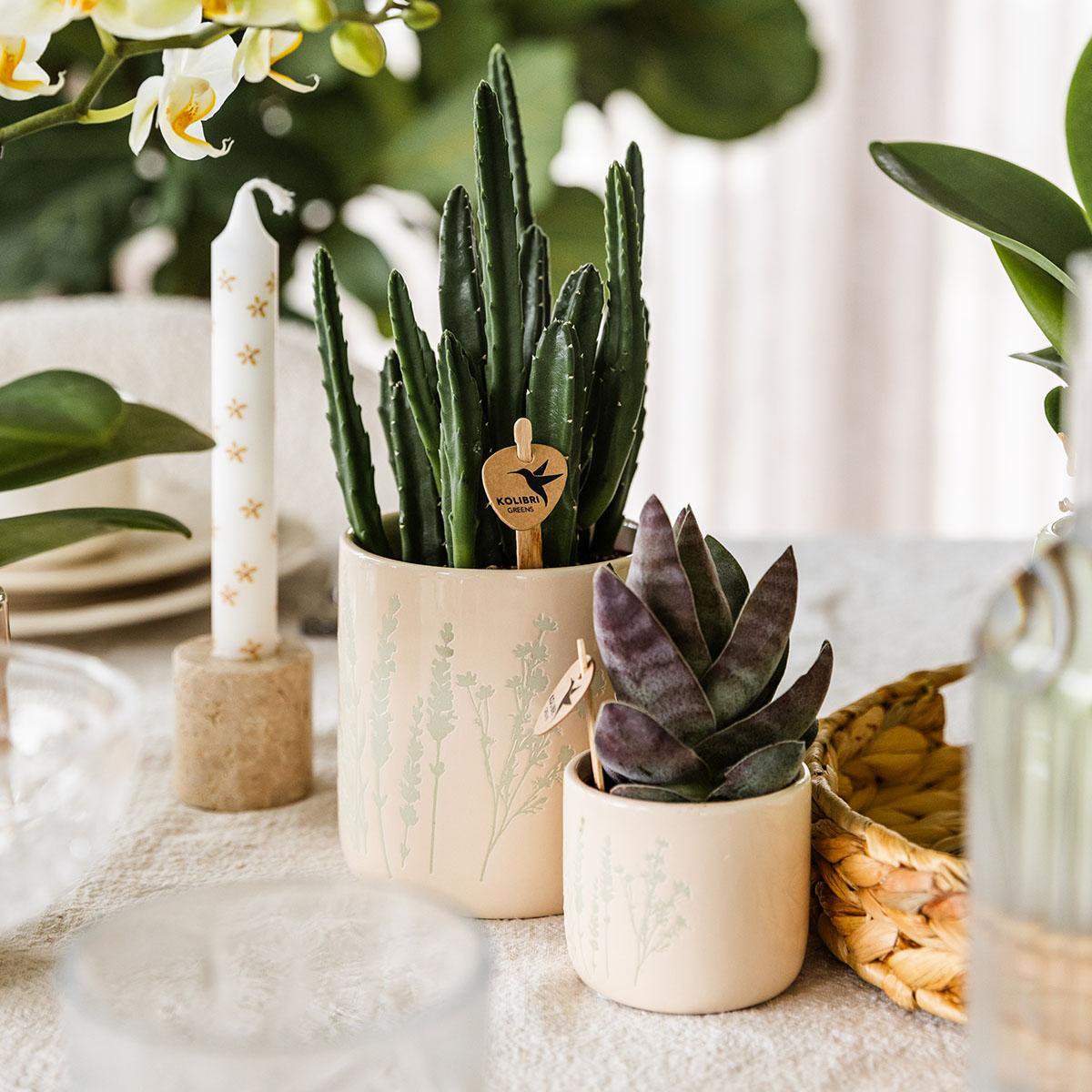 Kolibri Home | Bloembloempot - lichtblauw - 9 cm